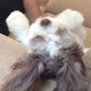 Meet your Posher, Mei-ling